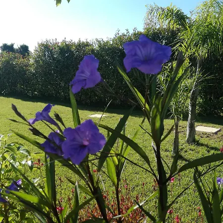 Casa de hóspedes Giardino D'oriente 4*