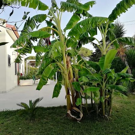 Giardino D'oriente 4*